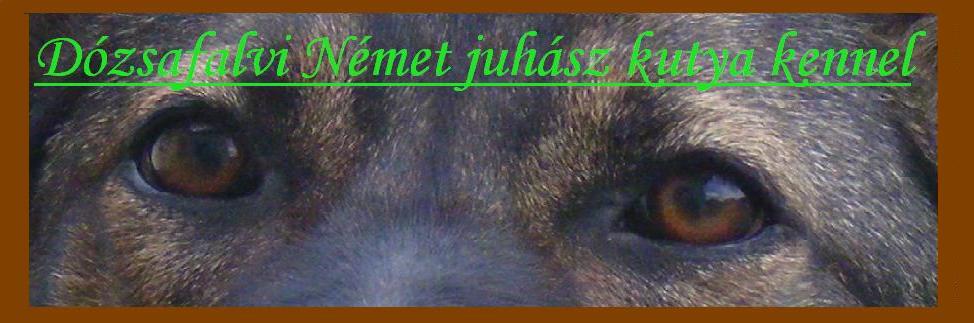 dvzlm a Dzsafalvi Nmet Juhszkutya Kennel Weblapjn!!